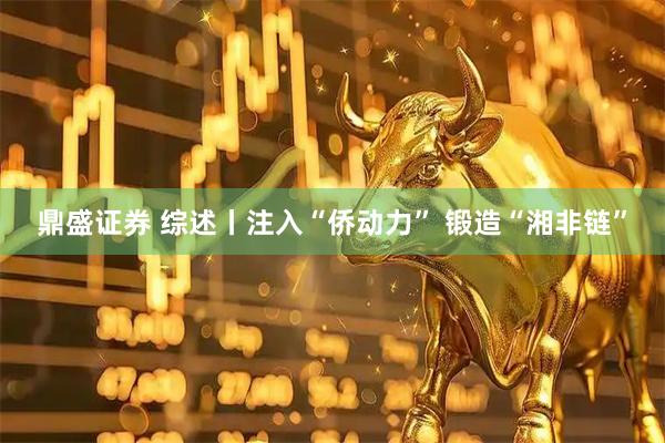鼎盛证券 综述丨注入“侨动力” 锻造“湘非链”