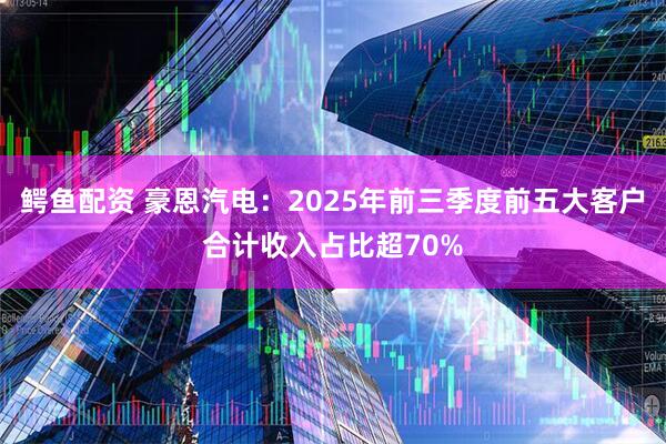 鳄鱼配资 豪恩汽电：2025年前三季度前五大客户合计收入占比超70%