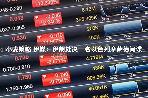 小麦策略 伊媒:伊朗处决一名以色列摩萨德间谍