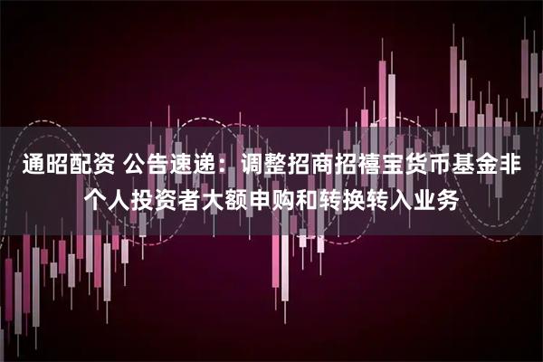 通昭配资 公告速递：调整招商招禧宝货币基金非个人投资者大额申购和转换转入业务