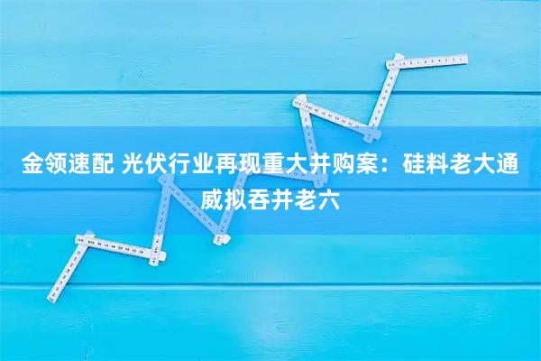 金领速配 光伏行业再现重大并购案：硅料老大通威拟吞并老六